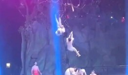 杂技演员新爆料视频播放,新爆料视频揭示惊险瞬间